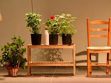 Ellas son el milagro